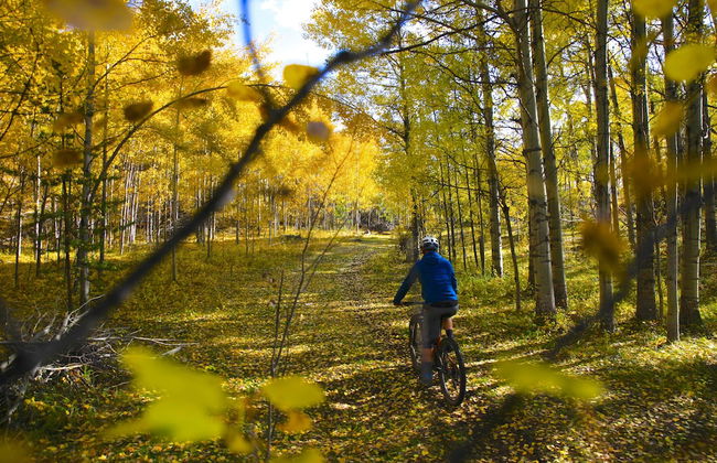 Meadow Lake Guest Ranch - Photo 72