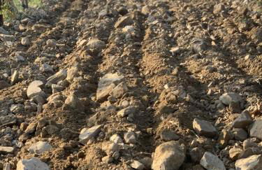 Casa Elisabetta - Foto 50