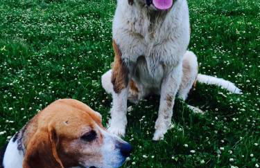 Agriturismo Bed and Breakfast Tanca Taroni - Foto 69