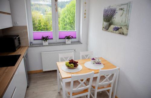 Mieszkanie Węgierska Górka - Foto 3