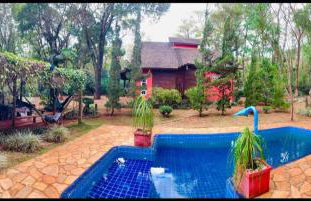 Chalé Cores da Mata - Foto 3