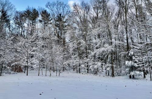 Berkshire Vacation Rentals: Peaceful Post and Beam Loft Sleeps 9 - Foto 51