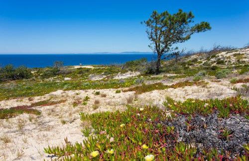 FLH Melides Beach House - Foto 10