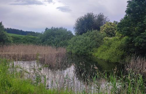 Domki Zaczarowana Łąka Borach Tucholskich - Foto 47