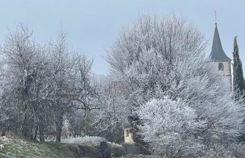 Le Relais du Piémont Ottrott - Mont Sainte-Odile- Champs du feu - Photo 39