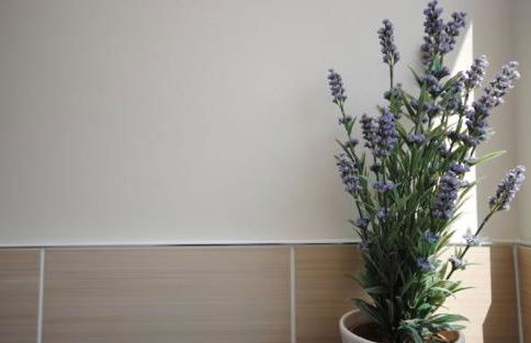 Still Waters, Emsworth - Photo 22