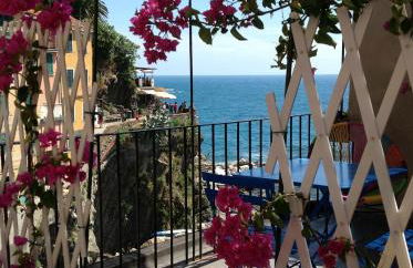 Pepita di Rio - Foto 43