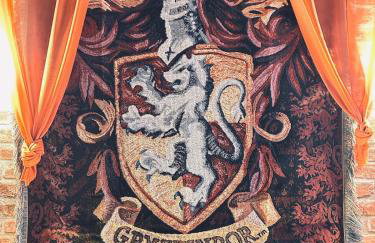 Harry Potter L'expérience, Nuit Magique à Poudlard - Foto 78