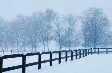 Casa do Azevim - Foto 58