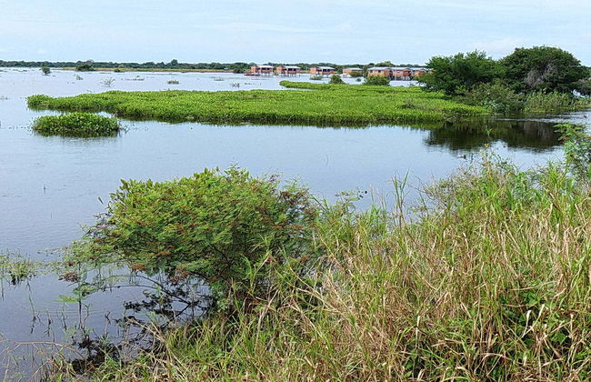 Ibare-Mamoré Protected Area Guided Tour - Foto 1