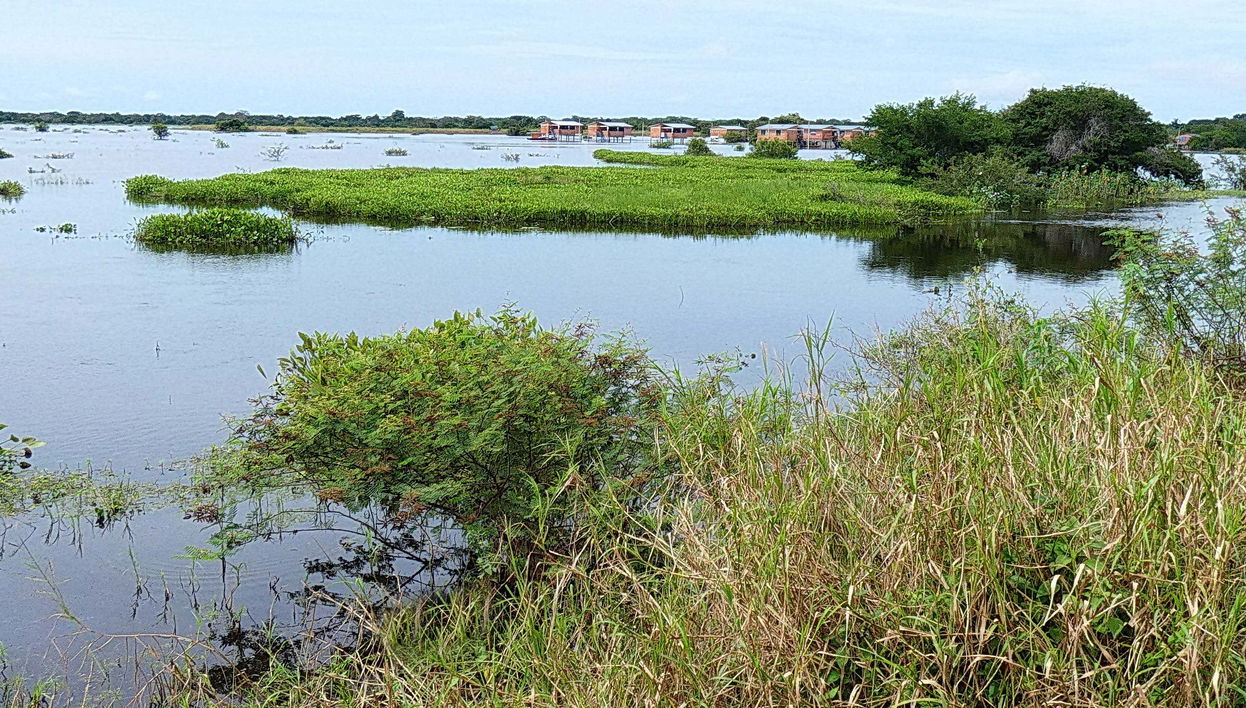 Tour por el Área Protegida Ibare-Mamoré