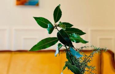 Istrian Escape - Foto 10