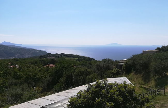 Agriturismo Castanito - Foto 68