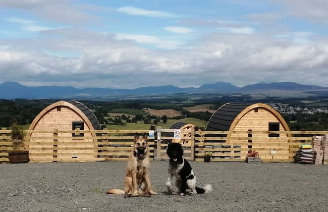 The Arns Glamping Pods - Photo 11