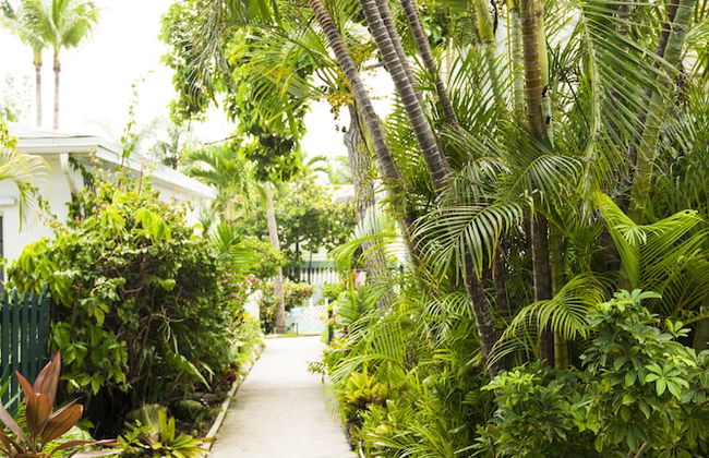 Bay View Suites Paradise Island - Foto 50