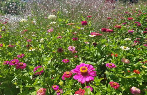 Eleni B&B - Photo 18