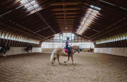 Hotel Reiterhof-Altmühlsee - Foto 30