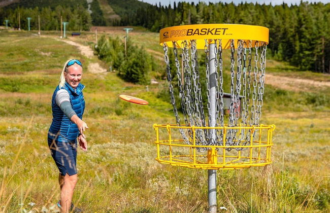 8 Person Holiday Home in Lofsdalen - Foto 9