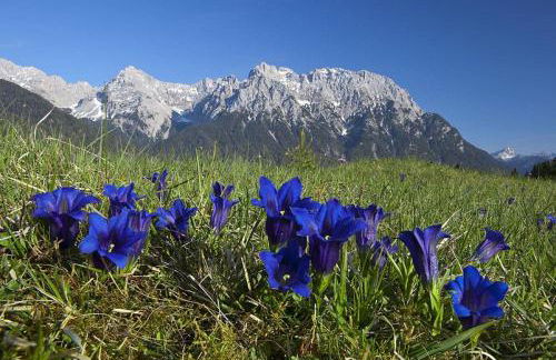 Ferienwohnungen Anton Geierstanger - Foto 57