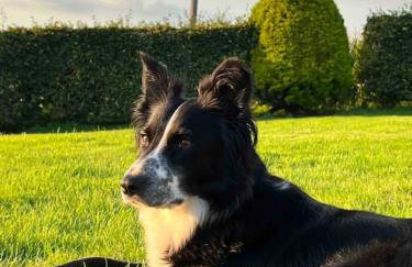 Countryside cottage with private garden & hot tub - Foto 15