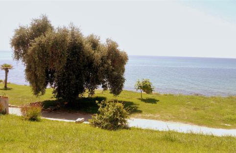 Aegean Villa - Foto 25