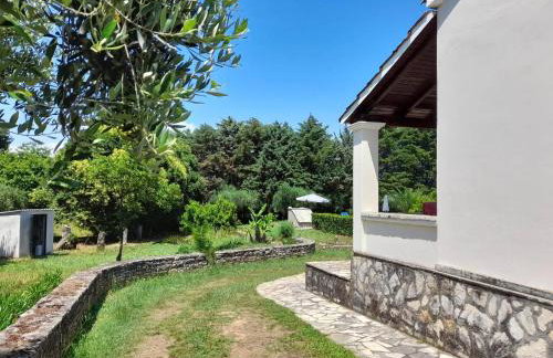 Lemontree Apartments - Foto 74