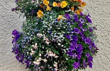 Cameron Cottage - Photo 42