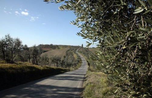 Agriturismo Mocine - Foto 61