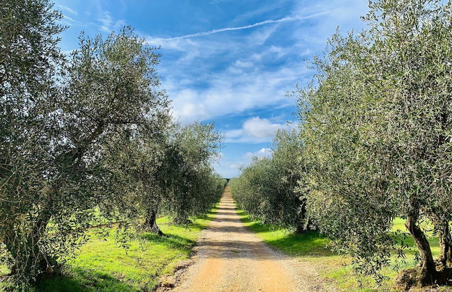 Tenuta Agricola Fraschiera - Foto 61