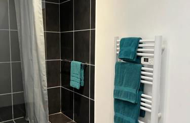 Grand gîte Gastes - Foto 15