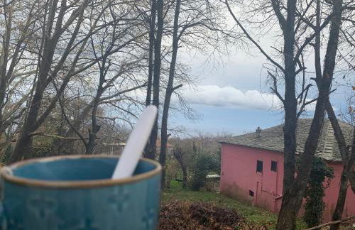 Pelion 7 Lives - Foto 35