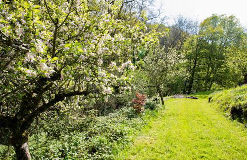 Little Hollows Glamping - Foto 50