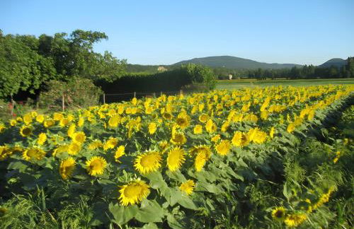 Appartement 3 Avec Deux Chambres - Foto 14