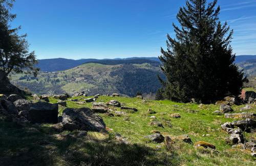 Le petit Kichon - Foto 39