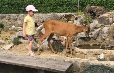 Cinija Cottage - Family Eco Retreat in Nature Park - Foto 57