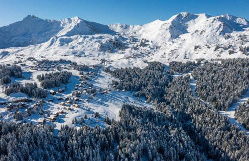 Les Pralyssimes 462 - Foto 21