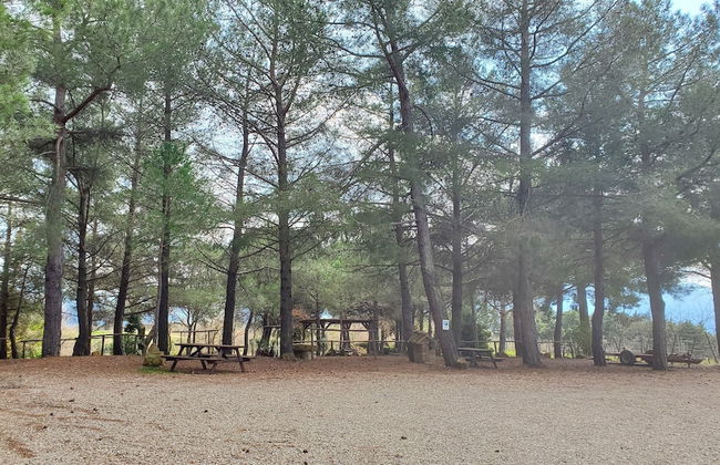 Agriturismo Il Cocco - Foto 35