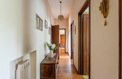 Tea Rose House - Foto 15