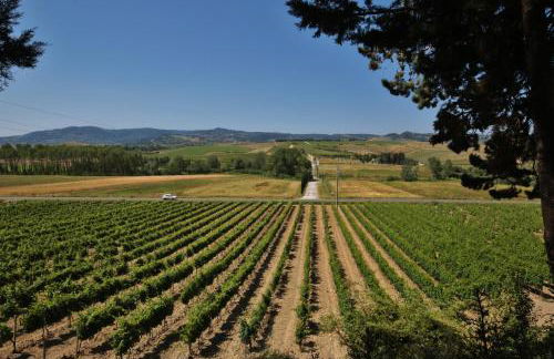 Azienda Agricola e Agriturismo Vallorsi - Foto 20