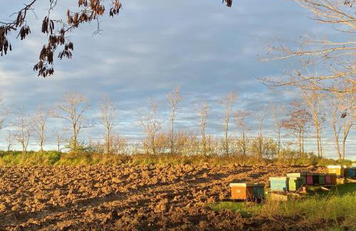 Casa Sant Angelo - Photo 73