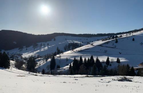 Haus Wiesenquelle, Deluxe-Apartment 'Feld & Berg' - Foto 1