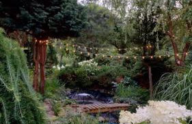 Świerkowe Ranczo Raciszewo - Foto 7