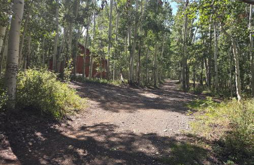 Camp Jackson Host Cabin - Foto 2