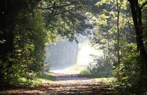 Ferienwohnungen Christine - Foto 45
