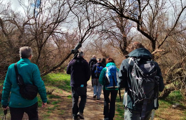 Senderismo por las Tablas de Daimiel - Foto 2