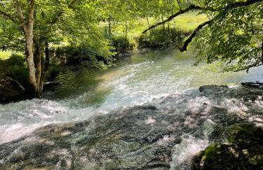 Ferienwohnung Christine - Photo 6