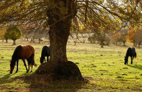 Villabamba - Foto 38