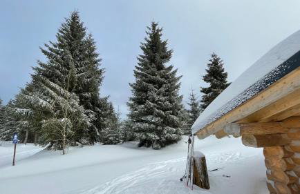 "Glück auf" Lichtdurchflutete schicke Ferienwohnung in Zwickau - Foto 50