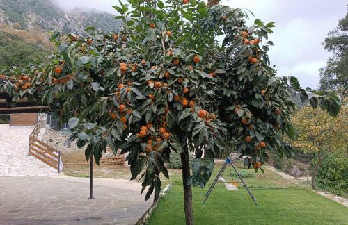 Orminia ground level - Foto 9