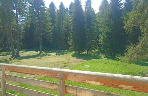 Bellamonte Villa Larici primo piano - Foto 33